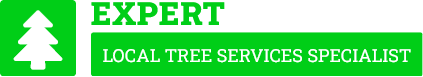 Morrinsville Tree Removal - Tree Removal Morrinsville